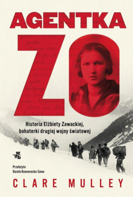 Zrzut ekranu 2025-12-01 131413